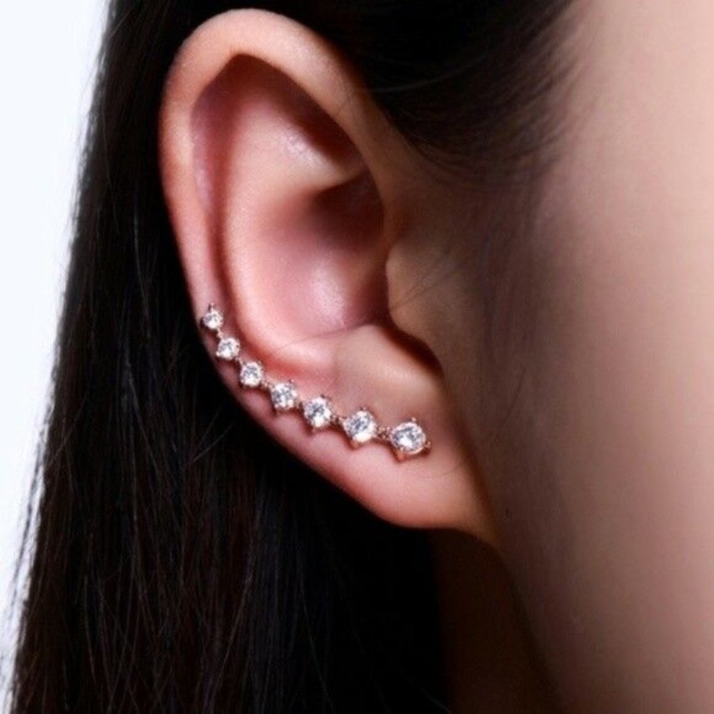 Rose Gold Round Clear Cubic Zirconia Earrings